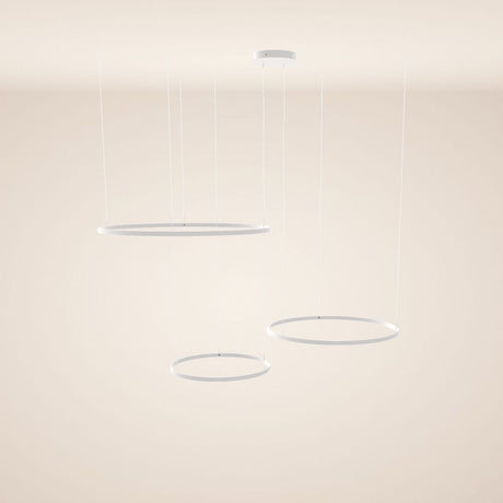 s.luce LED Ring Pendelleuchte 3-flammig Exzentrisch
