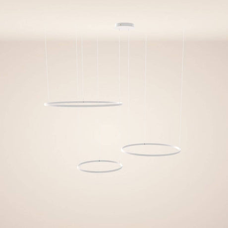 s.luce LED ring pendant light 3-light eccentric