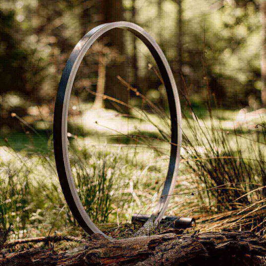 Minimalistischer schwarzer Ring im Wald, umgeben von grünen Pflanzen und Sonnenlicht.