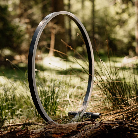 Minimalistischer schwarzer Ring im Wald, umgeben von grünen Pflanzen und Sonnenlicht.