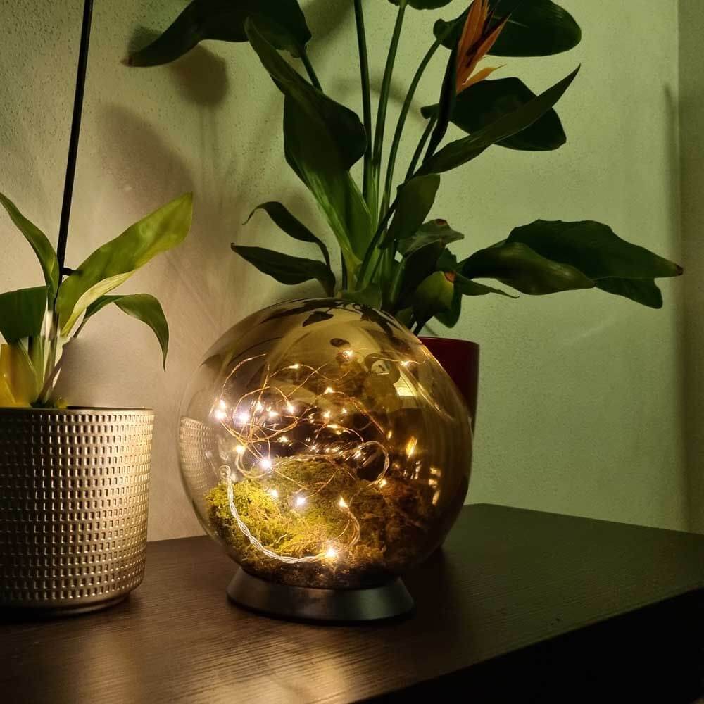 s.luce Orb LED-Dekolampe Glaskugel Ornament mit Lichtern und Pflanzen auf einem Tisch.