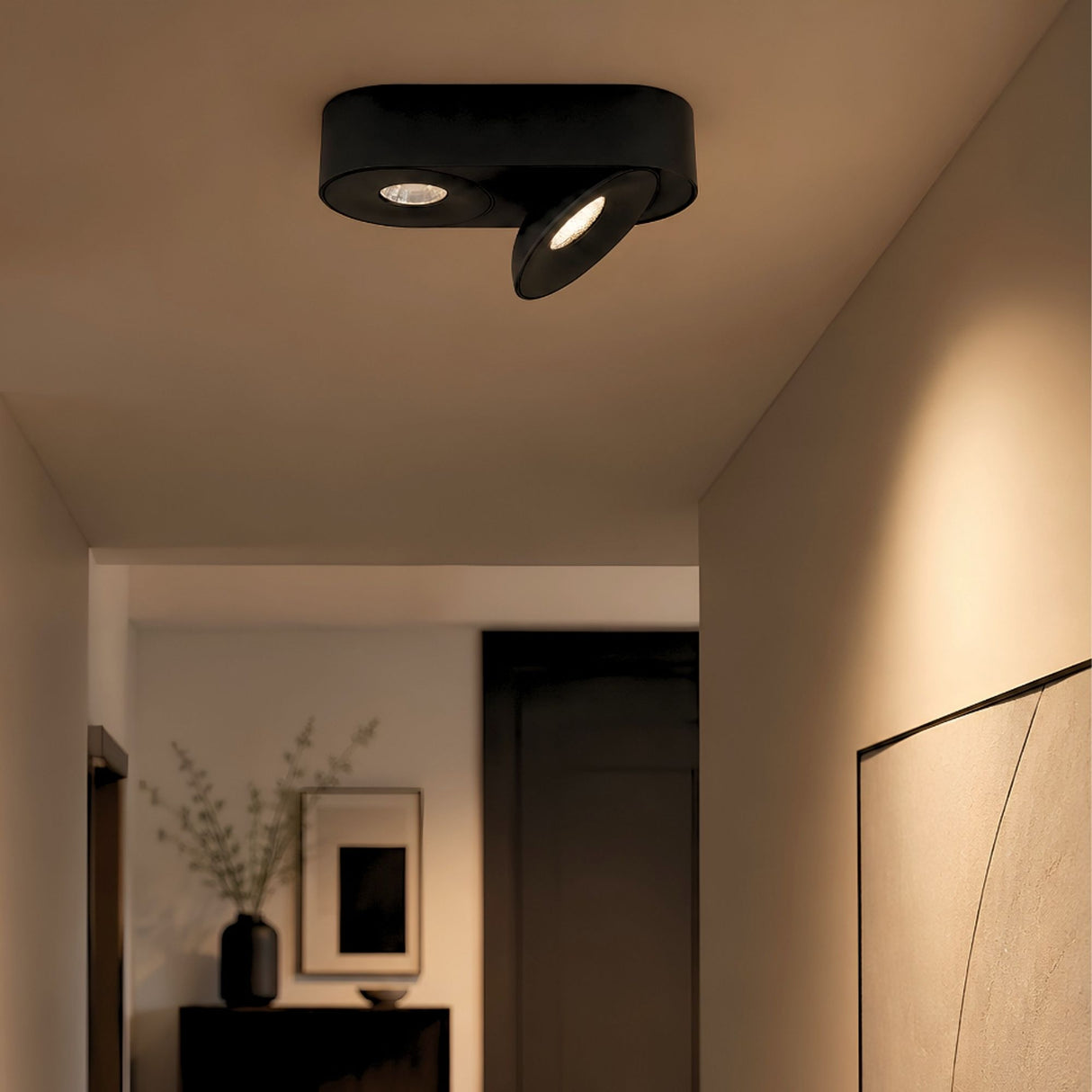 s.luce Santa Duo LED faretto da superficie orientabile e dimmerabile