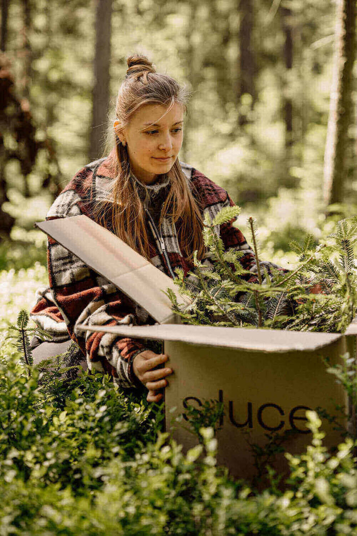 Frau packt einen Karton mit Pflanzen im Wald, s.luce Box mit grünen Zweigen umgeben von Natur.