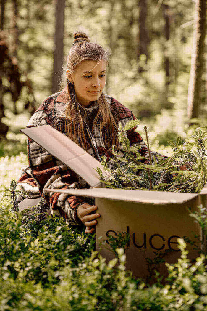 Frau packt einen Karton mit Pflanzen im Wald, s.luce Box mit grünen Zweigen umgeben von Natur.