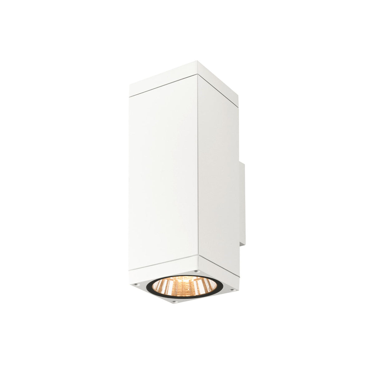 LED-Applique da esterno Theo Pro L IP65