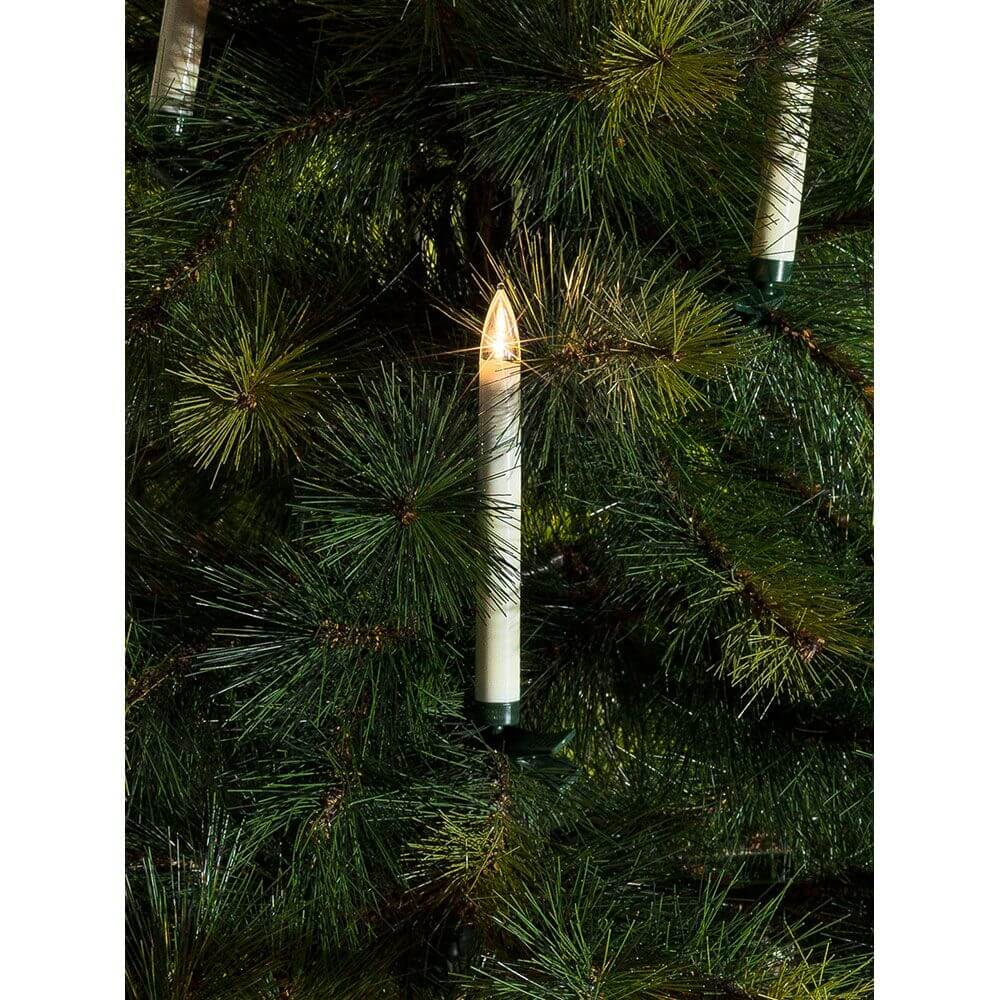 LED Baumbeleuchtung 10 Kerzen Fernbedienung Warmweiße batteriebetrieben IP44 an einem Tannenbaum.