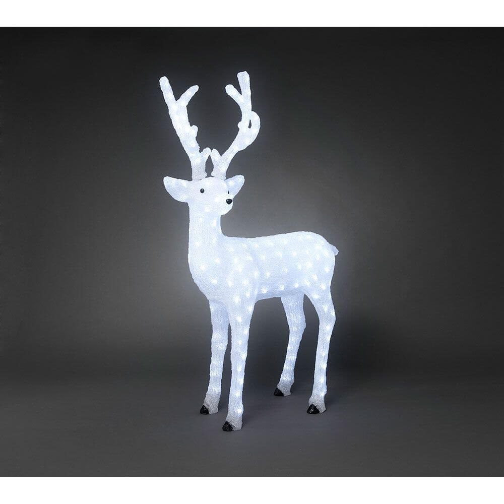 LED Acryl Rentier männlich 184 Kaltweiße Dioden IP44 mit leuchtenden Lichtakzenten für die winterliche Gartendekoration.