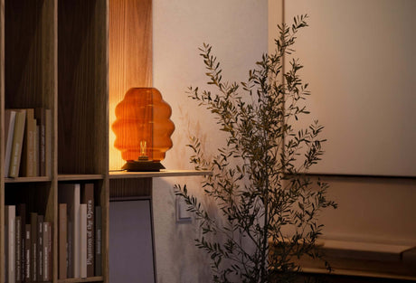 Ausgefallene s.luce Tischlampe in warmem Licht, ergänzt von einer Pflanze und Bücherregal im Wohnzimmer.