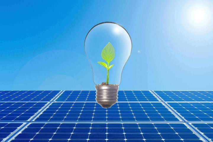 Die Vorteile von Solarleuchten: Glühbirne mit Pflanze vor Solarpanelen.