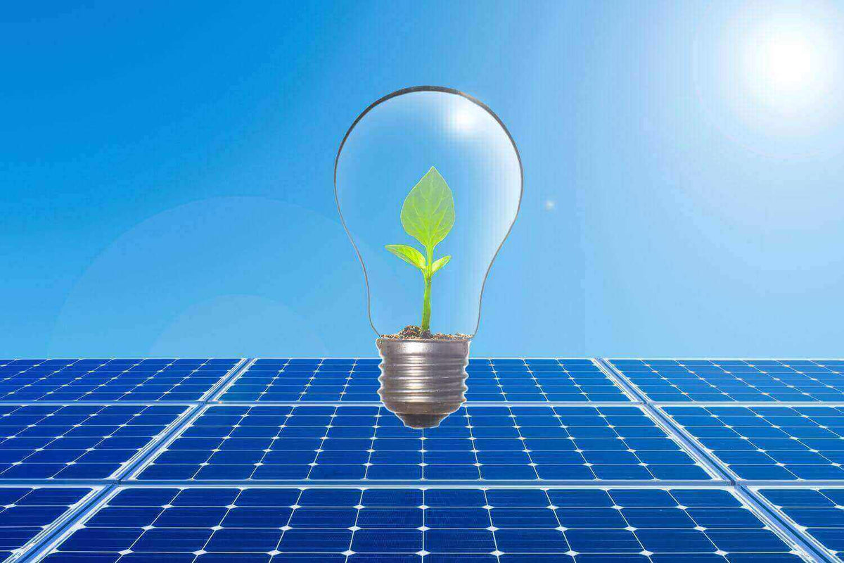 Die Vorteile von Solarleuchten: Glühbirne mit Pflanze vor Solarpanelen.