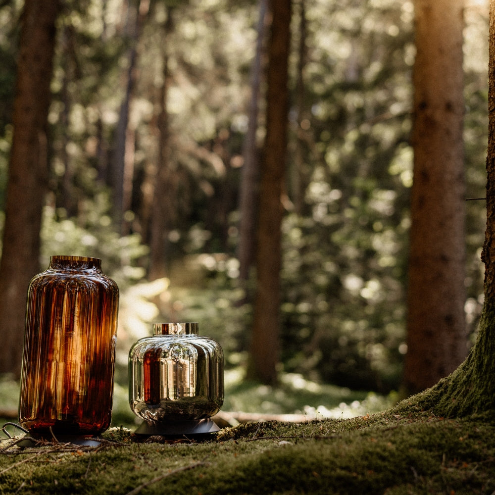 Glühlampe liegt auf ein Baumstamm