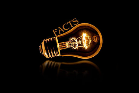 Leuchtende Glühbirne mit dem Text 'Facts' im Hintergrund für wichtige Informationen zur Beleuchtung.