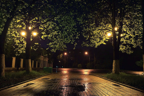 Beleuchteter Weg unter Bäumen bei Nacht mit Straßenlaternen und nassem Pflaster.