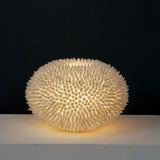Tischleuchte Sirena Bianco Muscheln-Fiberglas Weiß