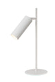 Schreibtischleuchte Clubs schwenkbar Zylinderform Aluminium (2)
