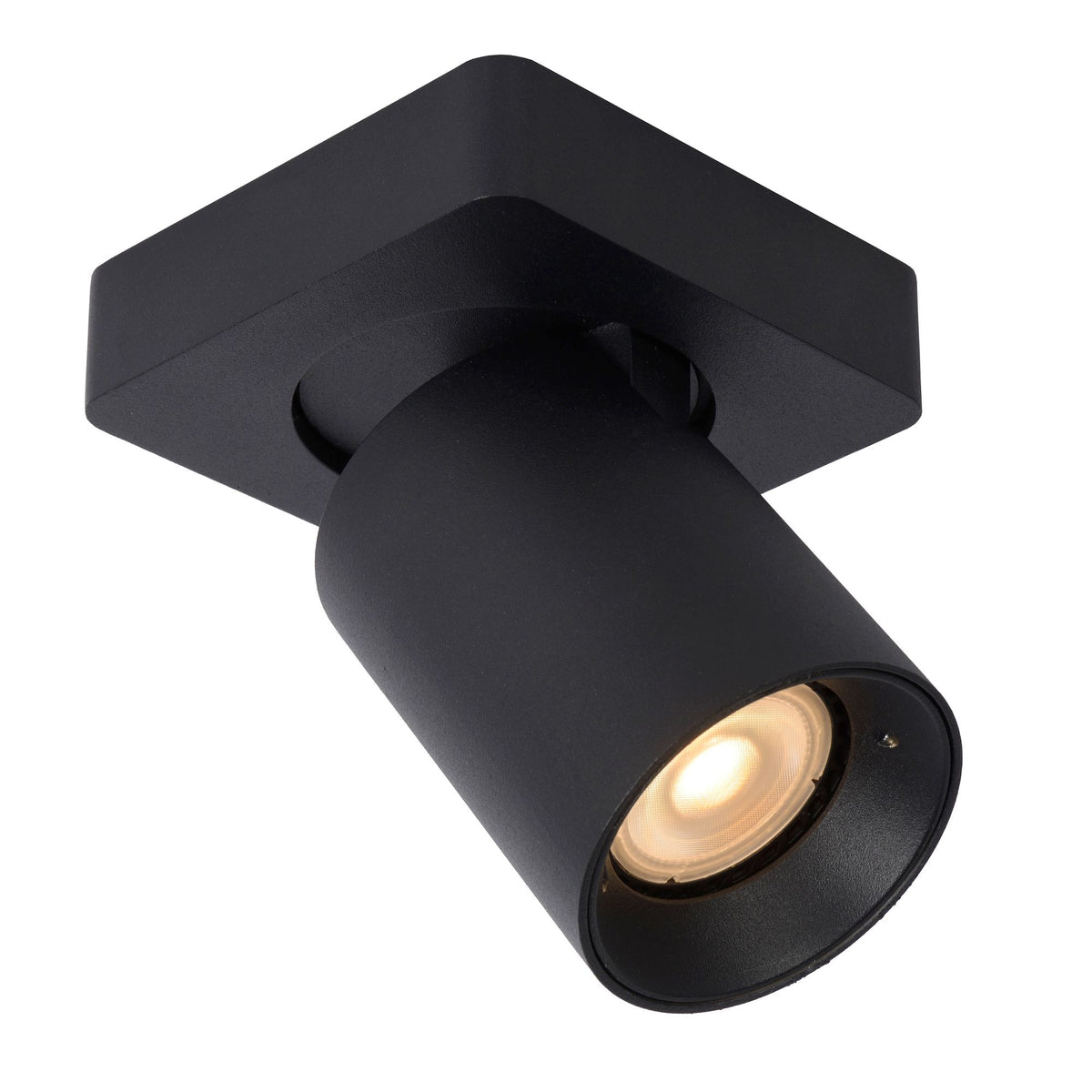 LED-Deckenstrahler Nigel 1-flammig dimmbar drehbar (4)
