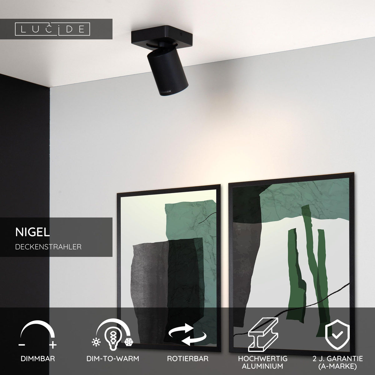 LED-Deckenstrahler Nigel 1-flammig dimmbar drehbar (5)