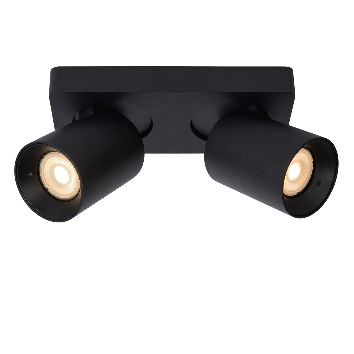 LED-Deckenstrahler Nigel 2-flammig dimmbar (4)