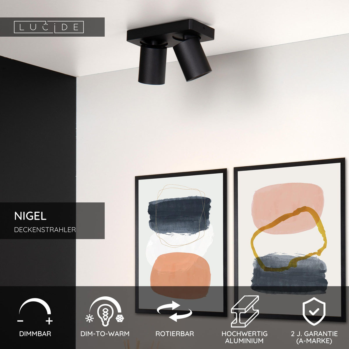 LED-Deckenstrahler Nigel 2-flammig dimmbar (6)