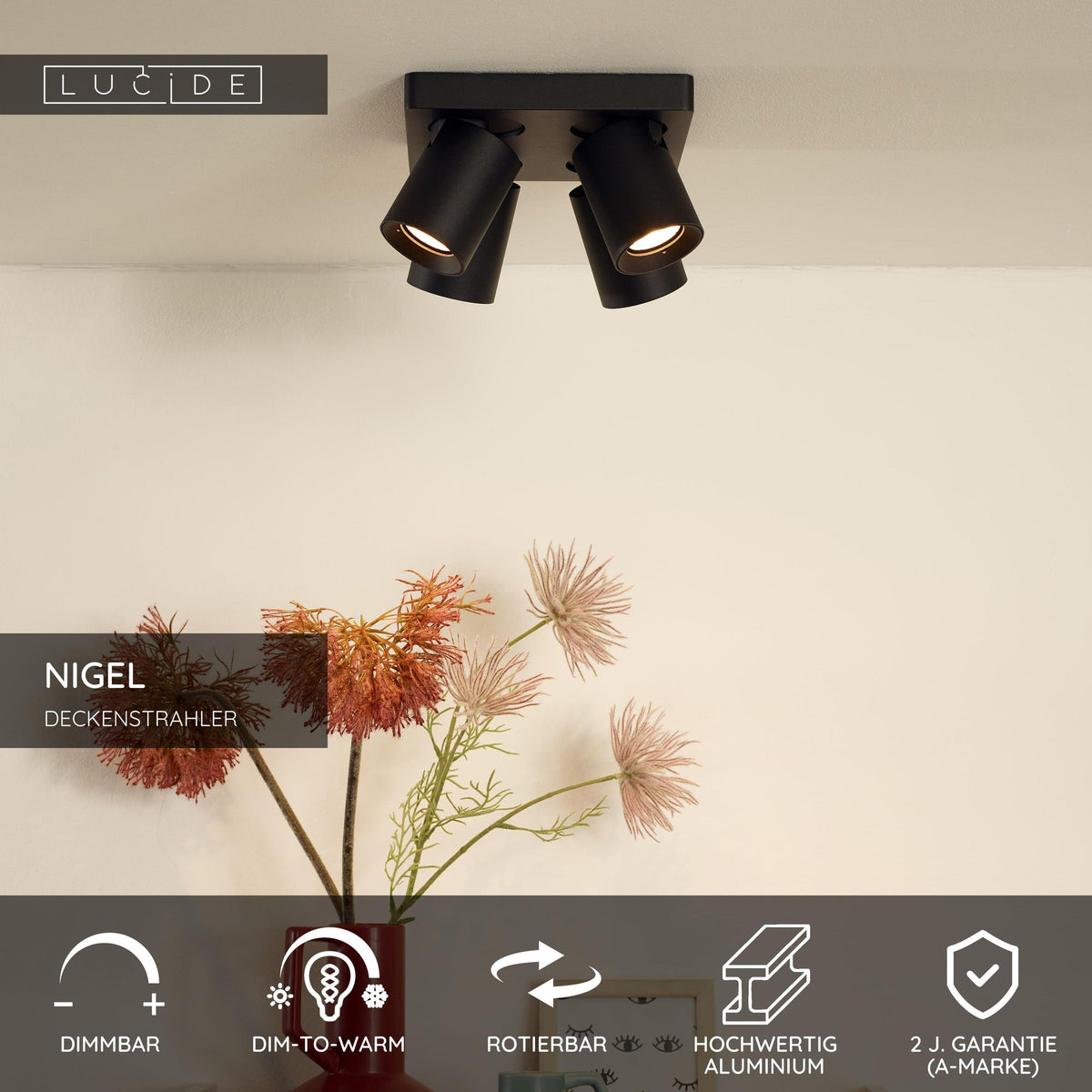 LED-Deckenstrahler Nigel 4-flammig dimmbar (6)