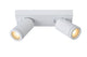 LED-Bad-Deckenstrahler Taylor 2-flammig dimmbar IP44 (2)