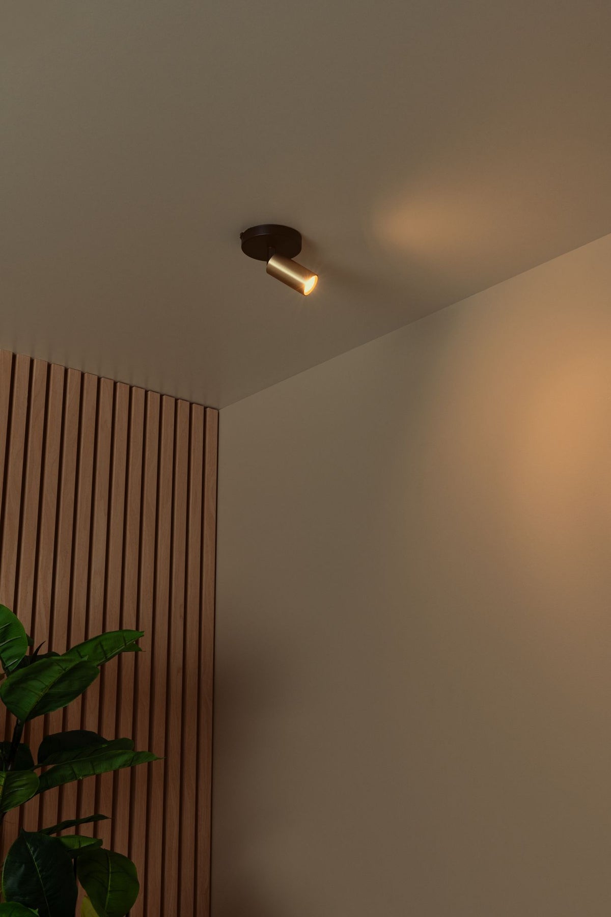 Deckenspot Ritmo 1-flammig ausrichtbar (4)