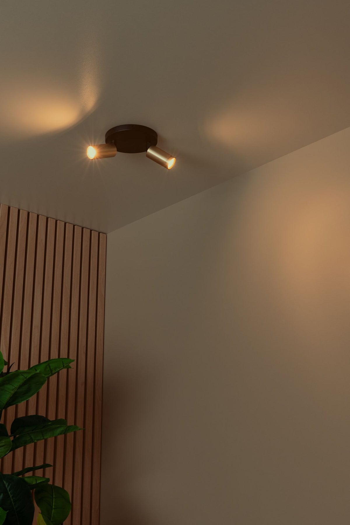 Deckenspot Ritmo 2-flammig ausrichtbar (4)