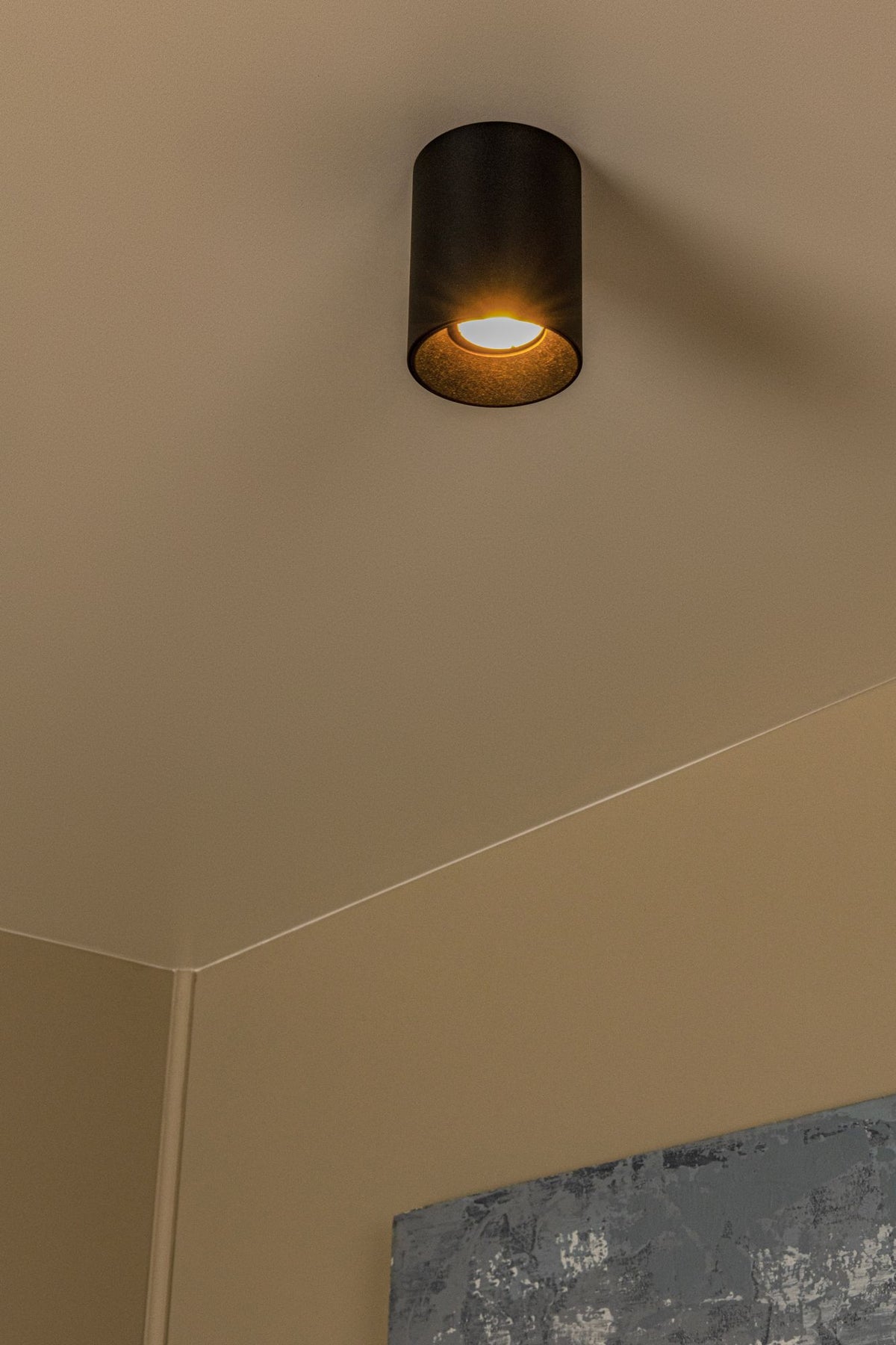 Plafondspot Gerti 1-lichts cilinder aluminium dimbaar (4)
