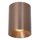 Plafondspot Gerti 1-lichts cilinder aluminium dimbaar (1)