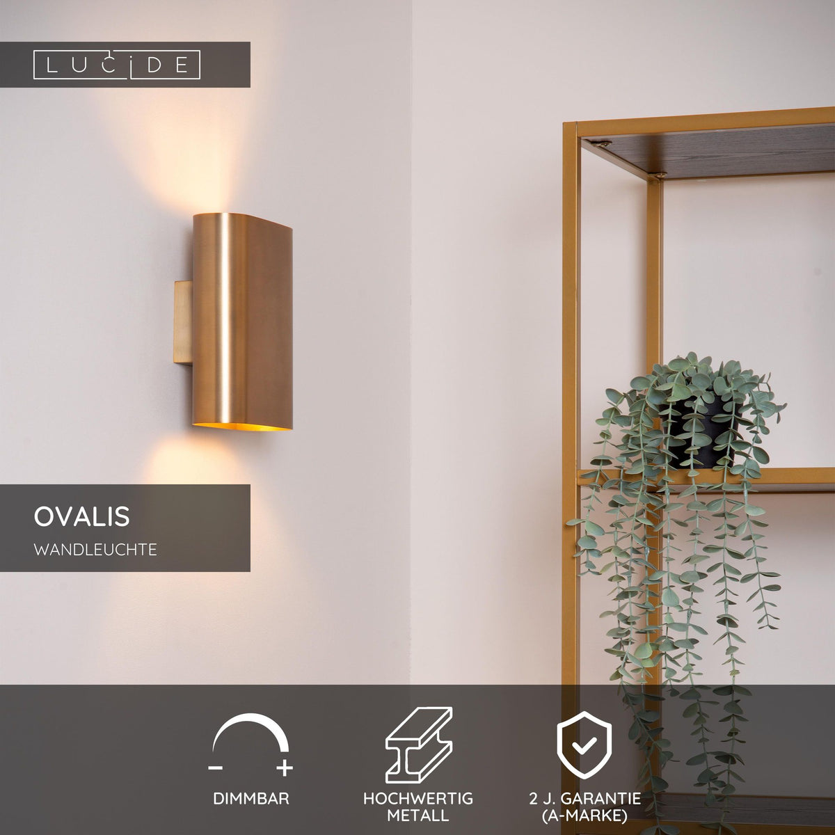 Applique Ovalis à 2 lumières avec éclairage vers le haut et vers le bas (8)