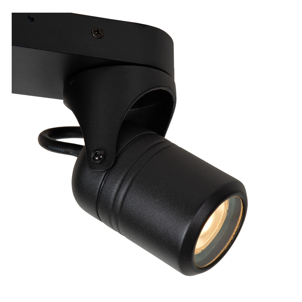 Niort 2-light swivel outdoor ceiling spot IP44 (3)