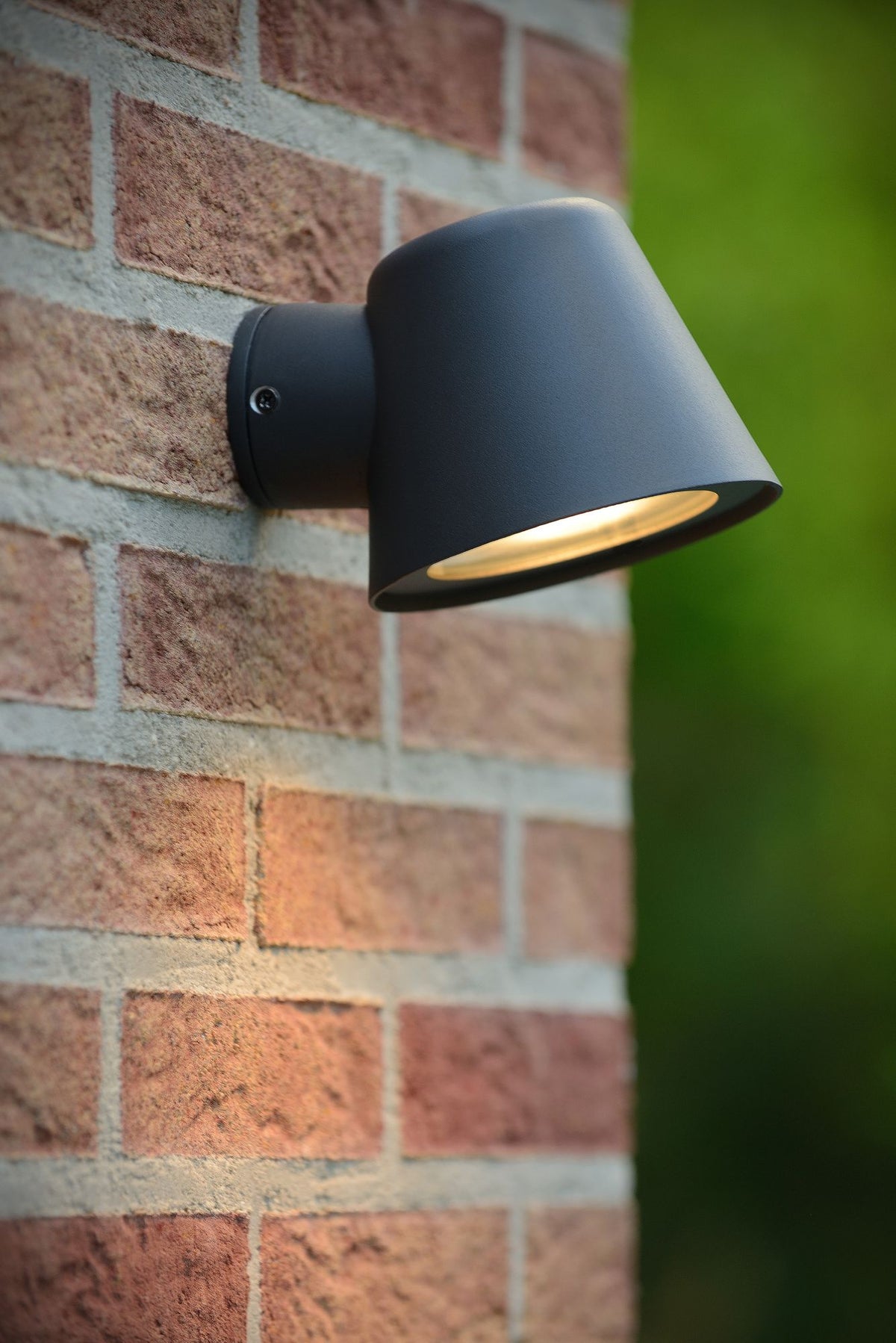 LED-Außenwandleuchte Dingo dimmbar IP44 (1)