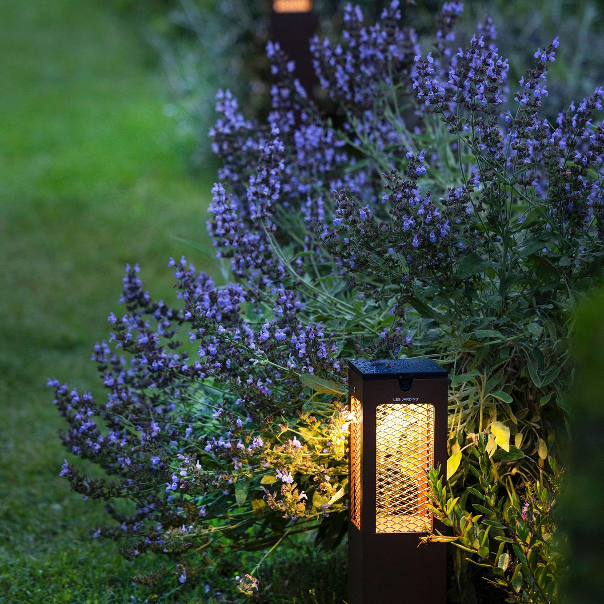 Lampada solare da percorso Tradition 45 cm in alluminio effetto Corten, illuminata in giardino con lavanda, vista frontale