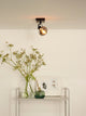 Deckenspot Madee schwenkbar mit Glasschirm (1)