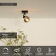 Deckenspot Madee schwenkbar mit Glasschirm (4)