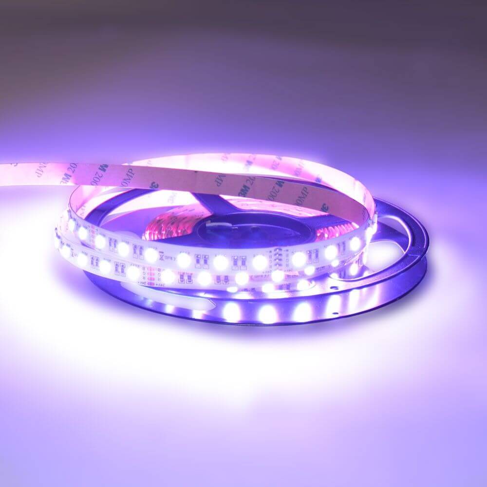 18 W/m RGBW Warmweiß 24V 5m LED-Strip IP20 auf einer Rolle, leuchtet in violettem Licht, zeigt die SMD 5050 Chips.