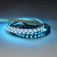 5m LED Strip 19, 2 W/M RGB + Warm White 24V IP63
