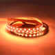 5m LED Strip 19, 2 W/M RGB + Warm White 24V IP63