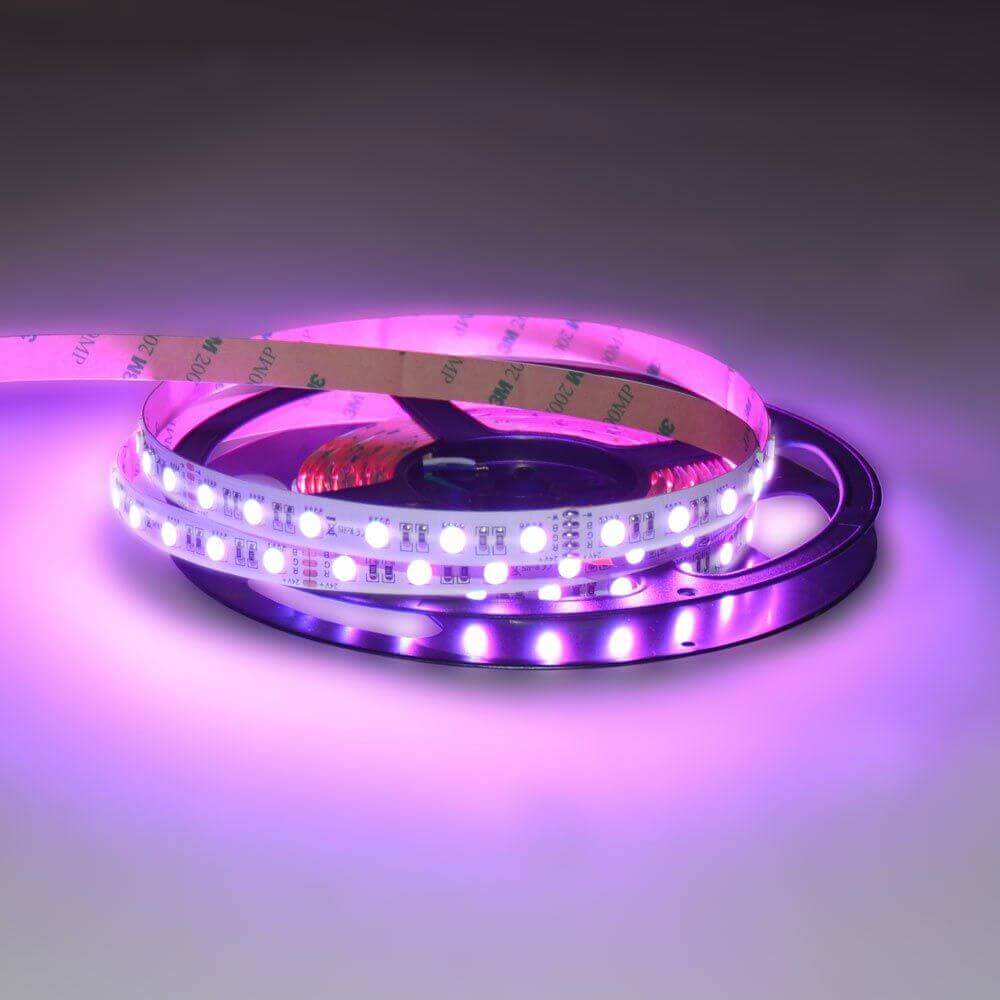 Striscia LED 5M 19, 2 W/M RGB + White White 24V IP63