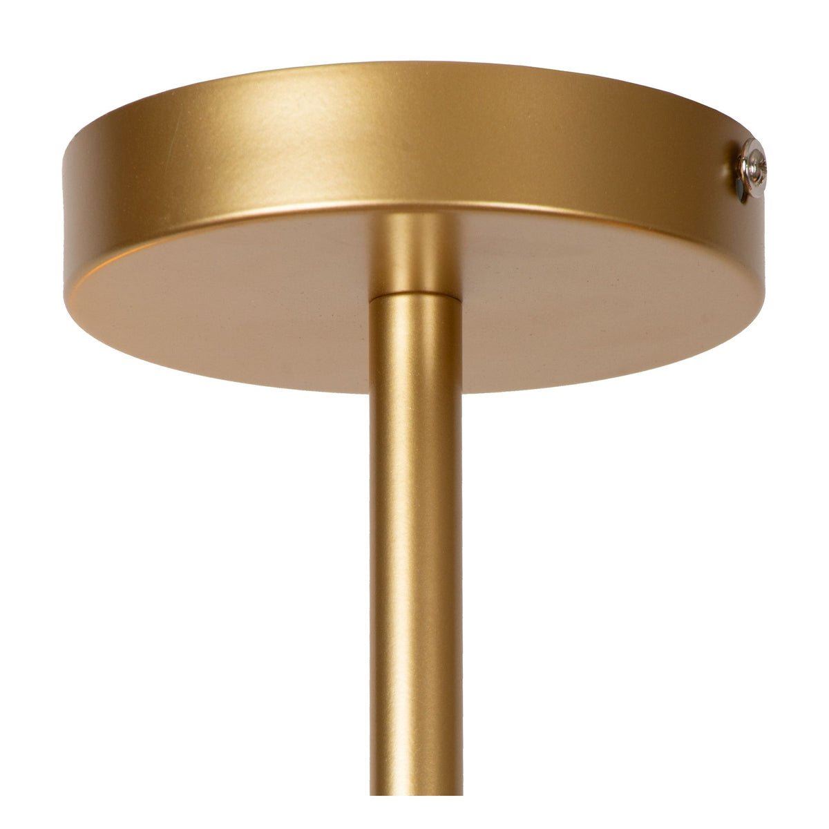 Plafonnier Lester à 6 lampes orientables (5)