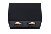 Faretto da soffitto Tube a 2 luci orientabile (1)