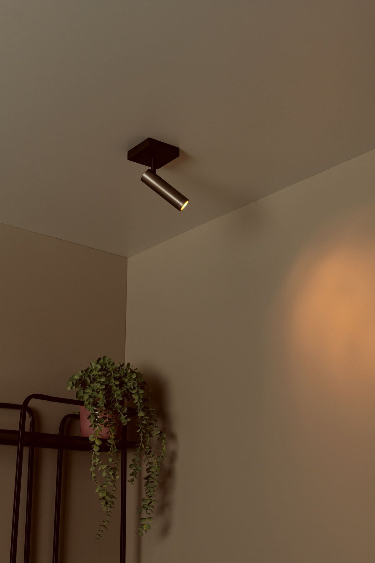 Spot da soffitto Grado a 1 luce orientabile e ruotabile alluminio (4)