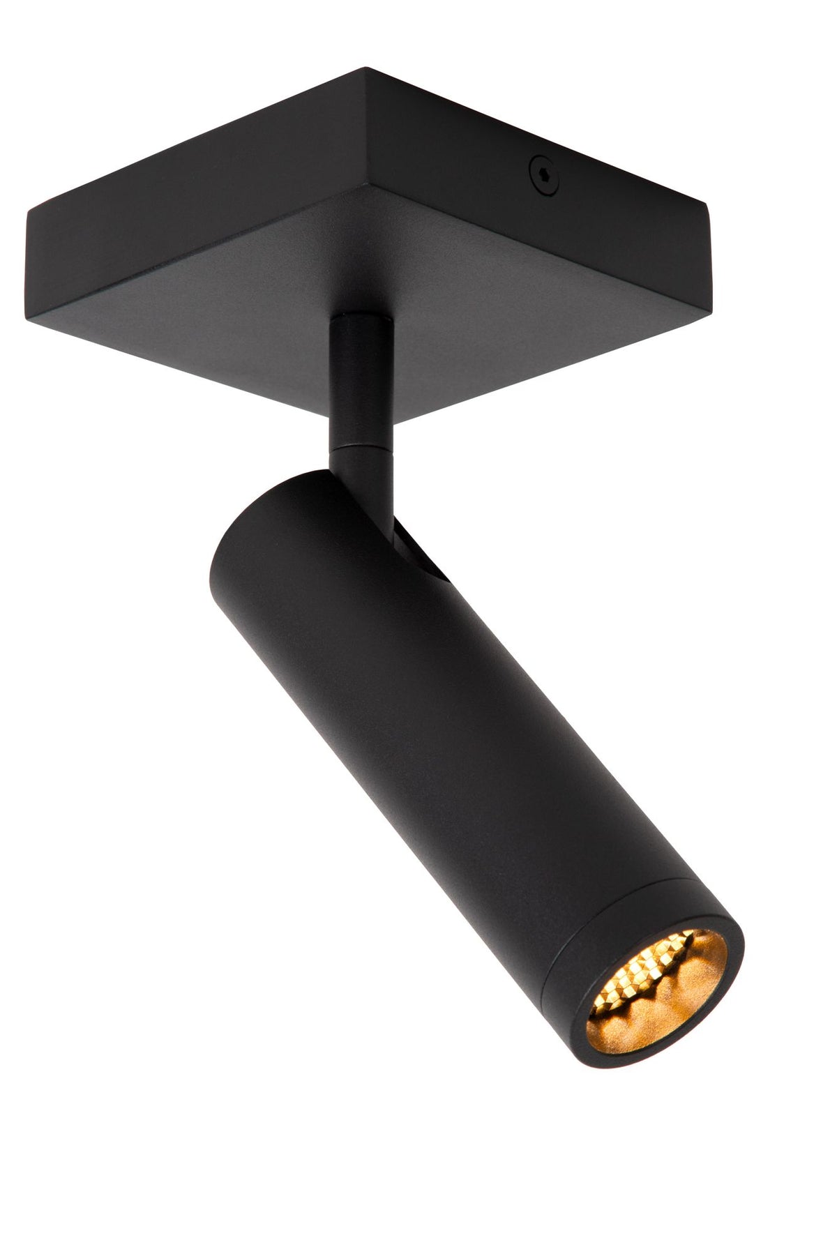 Spot da soffitto Grado a 1 luce orientabile e ruotabile alluminio (2)