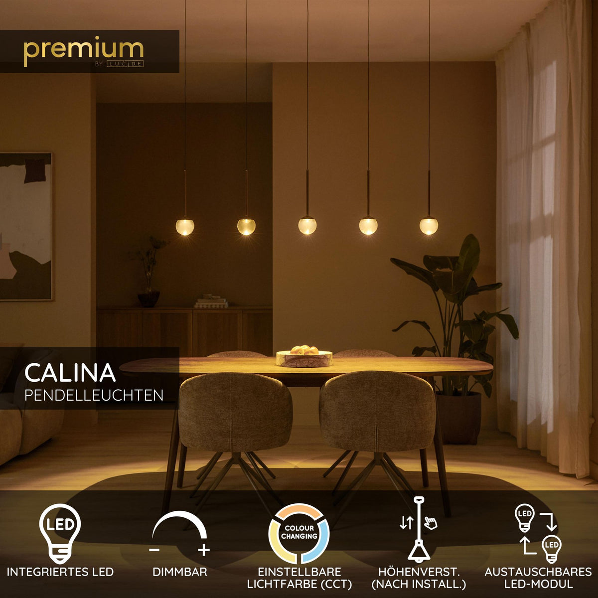 LED-Candeeiro suspenso Calina de 5 luzes com cor da luz ajustável retangular (3)