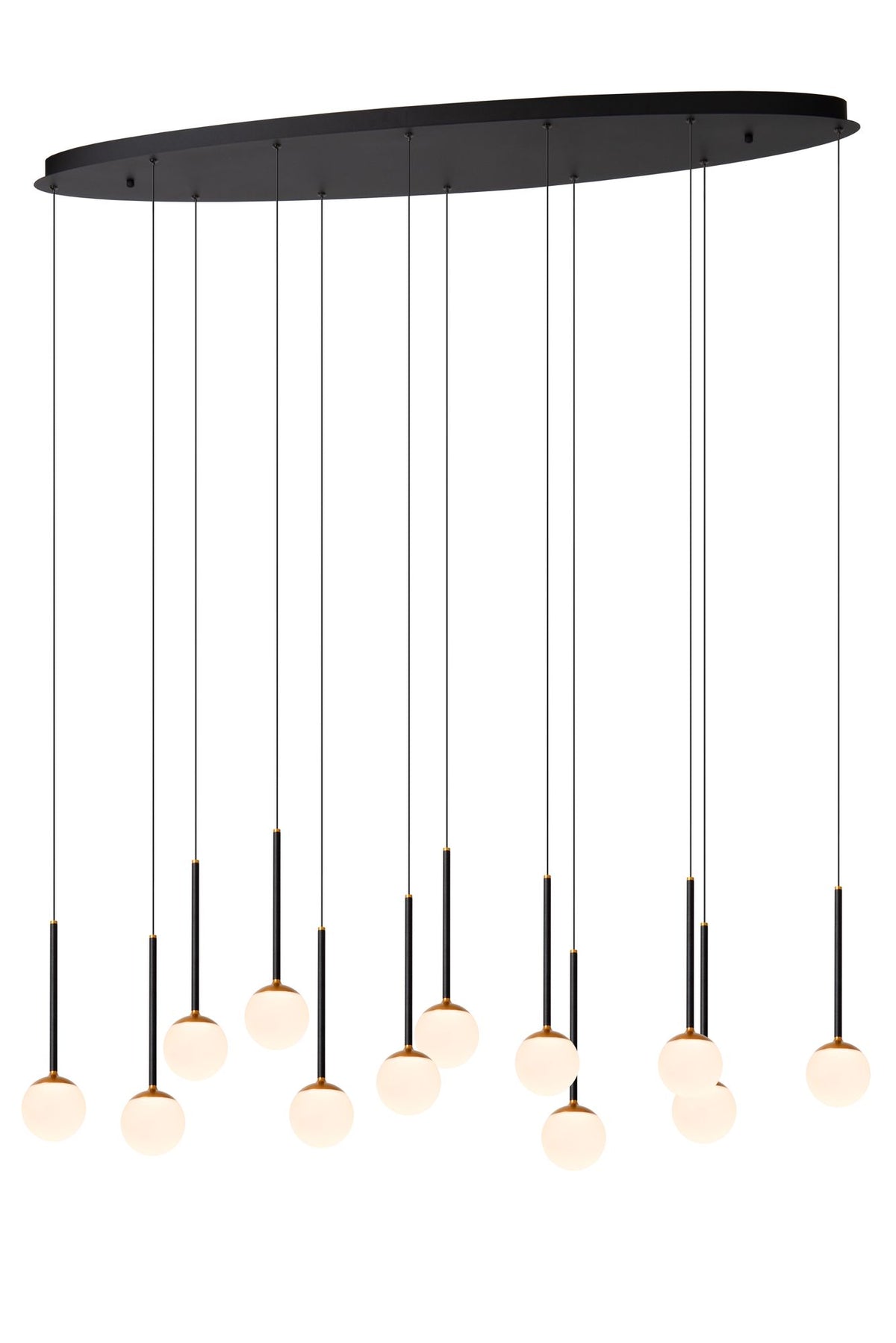LED-Pendelleuchte Calina oval 12-flammig dimmbar mit einstellbarer Lichtfarbe (2)