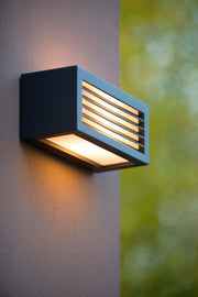 Applique extérieure Dimo à 1 lumière IP54 25cm anthracite (1)