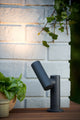 Gartenstrahler Tatum schwenkbar IP65 Anthrazit (1)