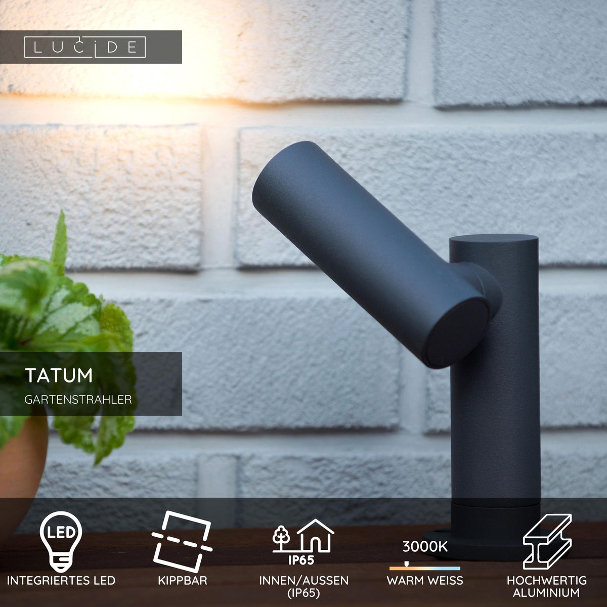 Gartenstrahler Tatum schwenkbar IP65 Anthrazit (6)