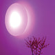 Moree Lounge Variation Outdoor LED Tisch oder Wandleuchte an einer lila Wand mit Dekoration.