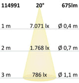 Rayons de rail à 3 phases 8W 20 ° -55 °